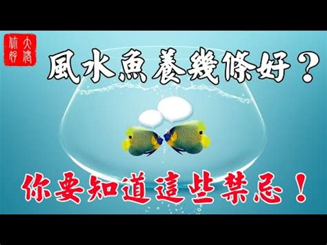 養魚隻數